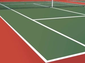 A Pickleball court